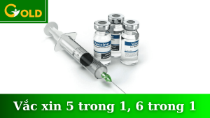 vac-xin-5-trong-1-va-6-trong-1