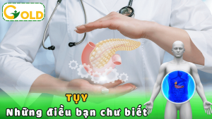 cach-phuc-hoi-chuc-nang-tuyen-tuy-hieu-qua-nhat