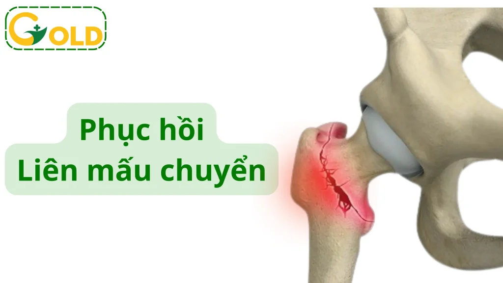 phuc-hoi-chuc-nang-gay-lien-mau-chuyen
