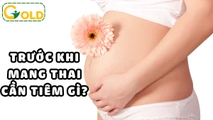 goi-tiem-chung-truoc-khi-mang-thai